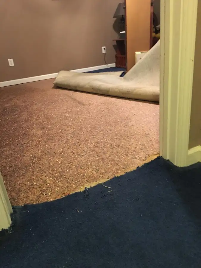 Carpet pad removal revealing water damage during Drying & Dehumidification in Edgewater