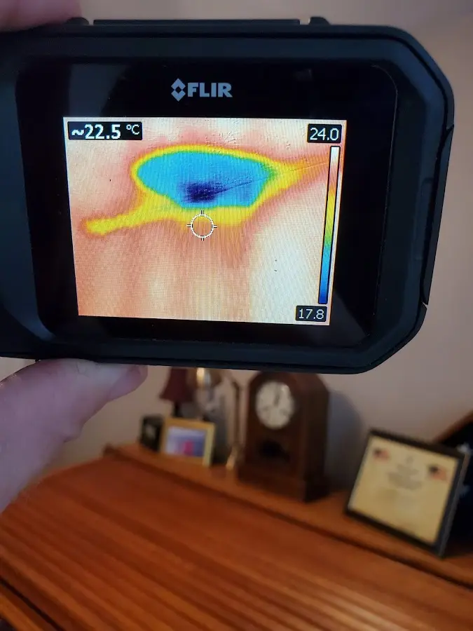 Thermal imaging inspection for water damage in Edgewater